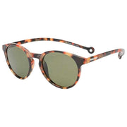 parafina-brown-isla-sunglasses-35924498