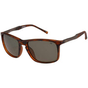 CAT Brown Deeper Square Metal Trim Sunglasses
