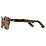 barner-brown-andy-glossy-sunglasses-35934589