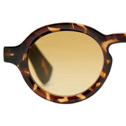 barner-brown-charles-glossy-sun-reading-glasses-34505730