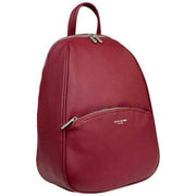 david-jones-burgundy-backpack-34505860