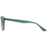 dirty-dog-green-racoon-sunglasses-34318643