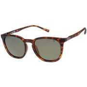 CAT Brown Classic Integral Monoblock Spring Hinges Sunglasses