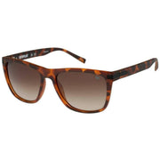 CAT Brown Deeper Square Sunglasses