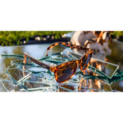 Goodr Brown Bosleys Basset Hound Dreams Sunglasses