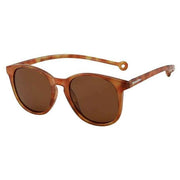 Parafina Brown Arroyo Sunglasses