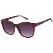 Radley London Purple Rounded Cat Eye Sunglasses
