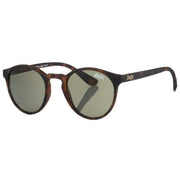 Superdry Brown Saratoga Classic Round Sunglasses