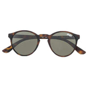 Superdry Brown Saratoga Classic Round Sunglasses