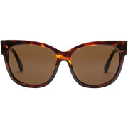 Electric California Brown Danger Cat Sunglasses