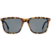 French Connection Brown Classic D-Frame Sunglasses