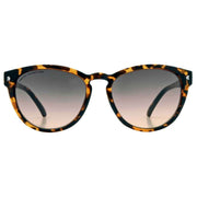 French Connection Brown Modern Cat Eye Sunglasses